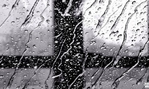 В Кирове предстоящая неделя будет дождливой