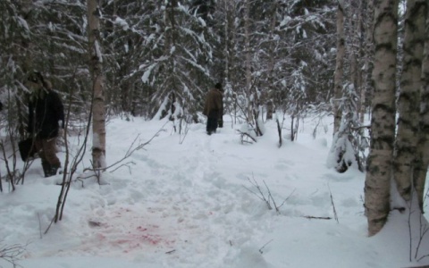 В Кировской области осудили мужчину, который убил родственника на охоте