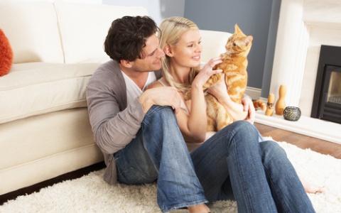 В зоомагазине «Зверье мое» можно совершать покупки не выходя из дома!