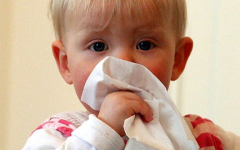 Вечный насморк у ребенка. Что делать?
