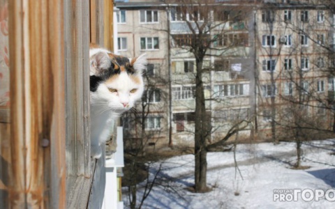 Стало известно, когда в Киров вернется по-весеннему теплая погода