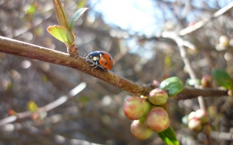Прогноз погоды: каким будет апрель в Кирове в этом году?