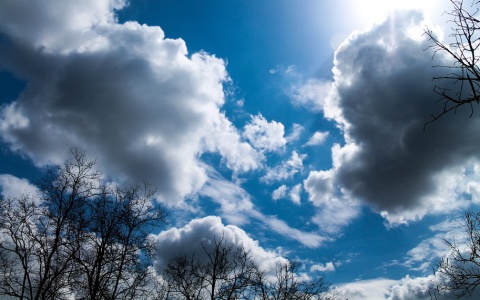 Прогноз погоды: какой будет рабочая неделя в Кирове?