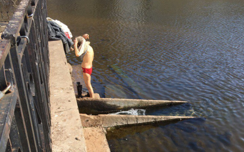 В пруду у цирка в Кирове вновь искупался смельчак