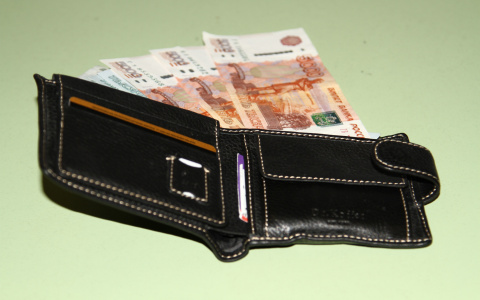 Депутаты Госдумы РФ от Кировской области отчитались о своих доходах