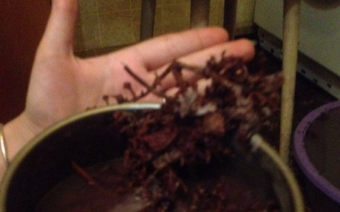 "Соседи угостили компотом": в интернете посмеялись над фото из Кирова