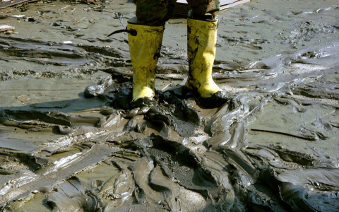 Глава кировской горадминистрации потребовал закопать все ямы в городе