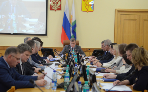 Заместители врио губернатора Кировской области отчитались о своих доходах