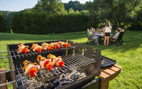 Пикник без мяса – не пикник!