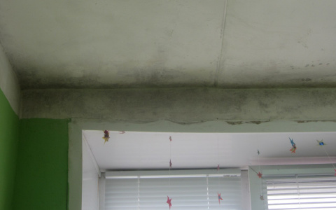 По стенам классов нововятской школы распространяется плесень