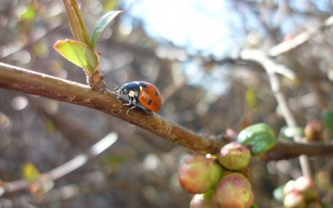 Прогноз погоды: какими будут праздничные выходные в Кирове?