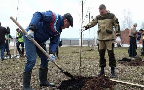 Игорь Васильев посадил липы на набережной: как прошли субботники в Кирове