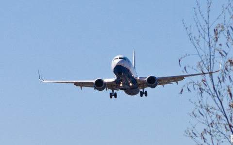 Самолет попал в воздушную яму при подлете к Бангкоку: список пострадавших