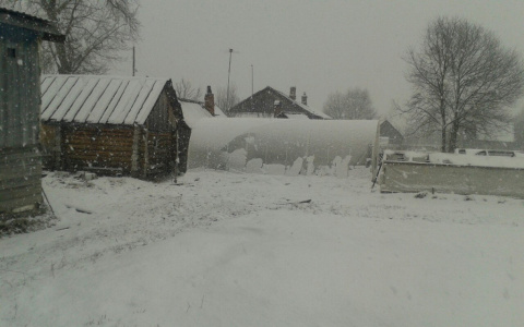 В некоторых районах Кировской области 9 мая выпал снег