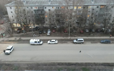 Очевидцы: «Из-за черной шляпы на дороге перекрыли улицу Дзержинского»