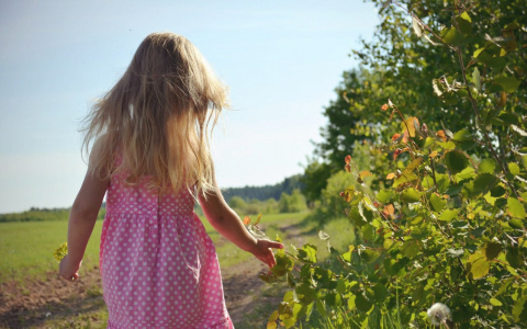 Стало известно, когда в Кировскую область вернется теплая погода