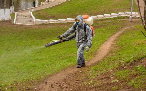 В Кирове началась противоклещевая обработка парков и скверов