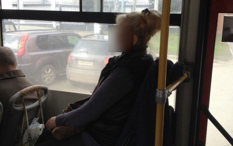 В Кирове пассажир автобуса заплатила 100 рублей за проезд с собакой