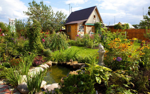 Какие гаджеты использовать на даче?