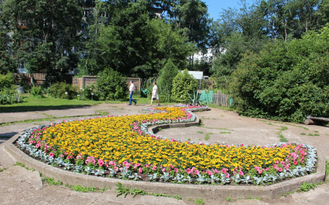 Ко Дню города в Кирове высадят 6 миллионов цветов