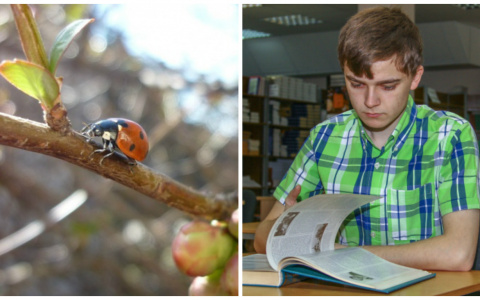 Что обсуждают в Кирове: резкое потепление и поэтапная отмена стипендий