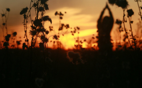 Прогноз погоды: долго ли в Кирове продержится тепло?