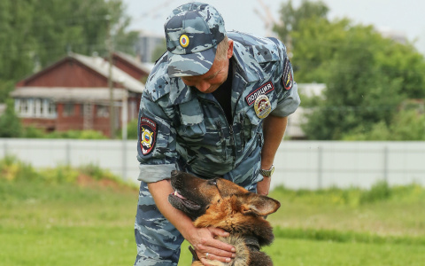В Кировской области местный житель нашел в огороде боевую гранату
