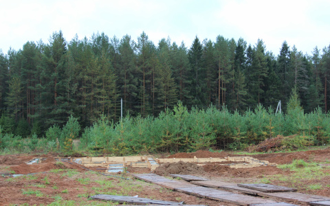 В Кировской области в лесу обнаружили тело 24-летнего парня