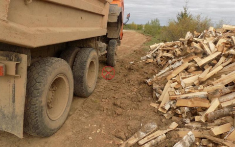 В Кировской области водитель грузовика насмерть сбил мужчину