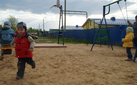 В детском саду Кирова ребенка укусил клещ