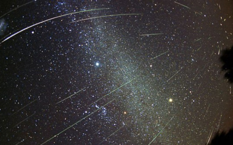 Кировчане увидят звездный дождь