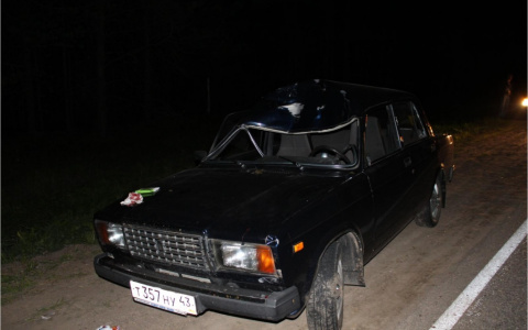 В Кировской области на трассе автомобиль сбил лося