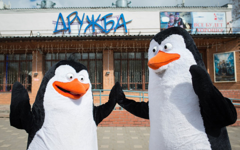 Кинотеатры "Смена" и "Дружба" обновлены к летнему киносезону