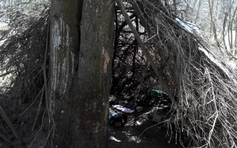 Кировские полицейские продолжают искать женщину, оставившую младенца в лесу