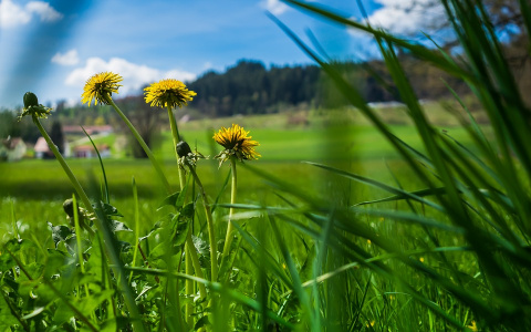 Прогноз погоды: какой будет рабочая неделя в Кирове?
