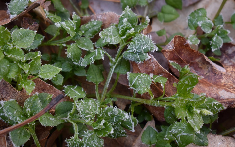 МЧС объявило метеопредупреждение в Кировской области