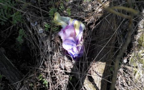 Появились фото из Зубаревского леса в Кирове, где нашли тело младенца