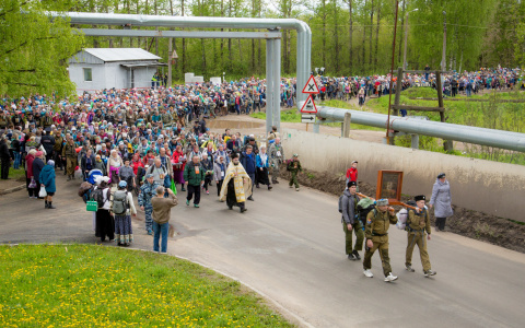 Известно, сколько паломников отправились в Великорецкий крестный ход-2017
