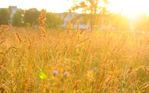 В Кировскую область возвращается лето: как долго продержится теплая погода?