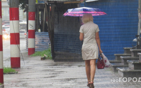 Прогноз погоды: предстоящая рабочая неделя в Кирове будет дождливой