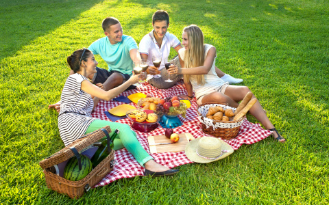 Собираемся на пикник: что взять с собой?