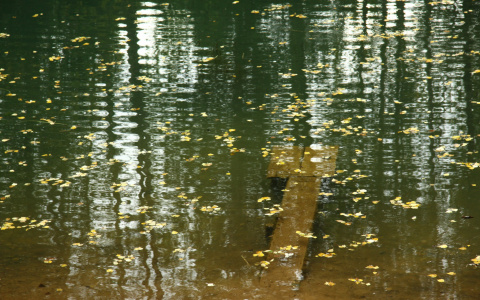 В Кировской области на берегу пруда найдено тело молодого мужчины