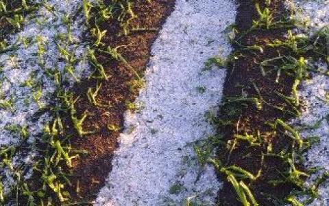 На юге Кировской области выпал град