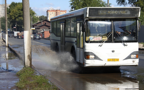 7 происшествий в кировских автобусах: откушенное ухо и выпавшие двери