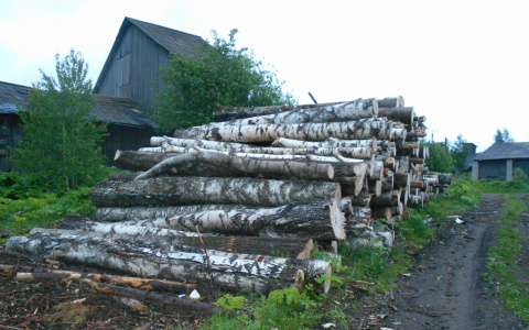 В Кировской области ребенка насмерть придавило бревном