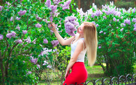 Прогноз погоды: какой будет рабочая неделя в Кирове?