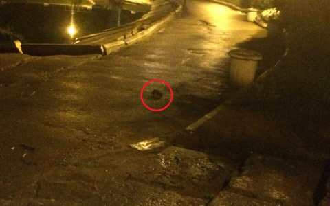 Улицы Кирова начали обрабатывать от крыс