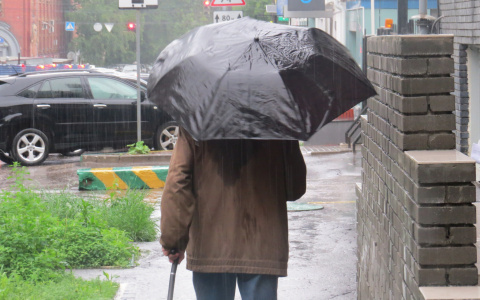 В Гидрометцентре рассказали, ждать ли жителям ПФО завершения сезона дождей