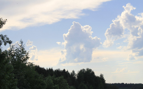 Прогноз погоды: в Кирове на этой рабочей неделе выглянет солнце