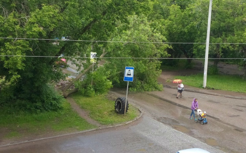 На Азина упавшее дерево оборвало электропровода